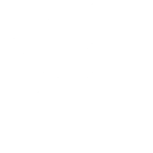 Reliability Icon