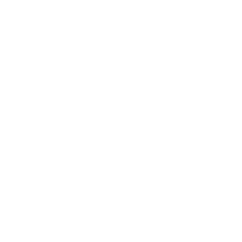 ISS KFT Icon